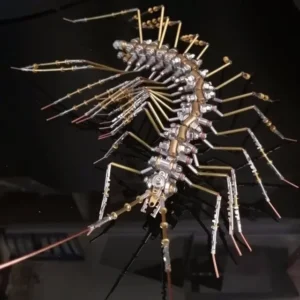 Leg Scorpion 3D Metal Puzzle Luminous